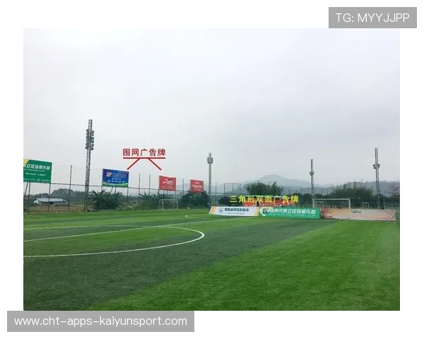 足球场馆临时广告审批电子系统试点报告，足球比赛广告位